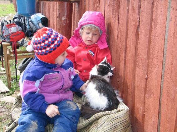 ��������2