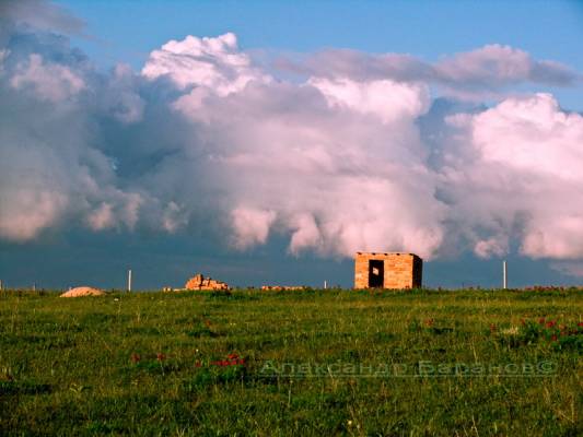 �������