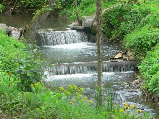 ���������� ���������