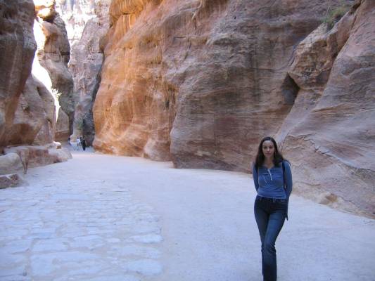 ������ ������������