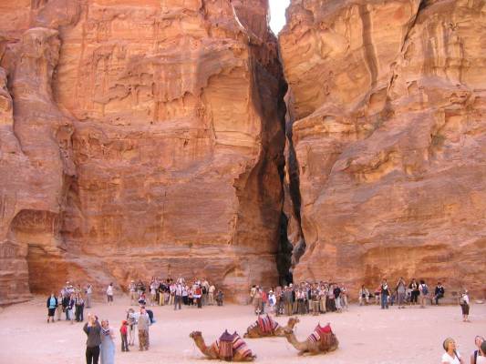 ������ � ����������