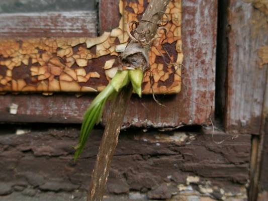 ������ � �����