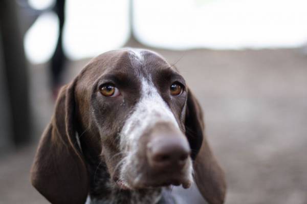 �������� � �����-2