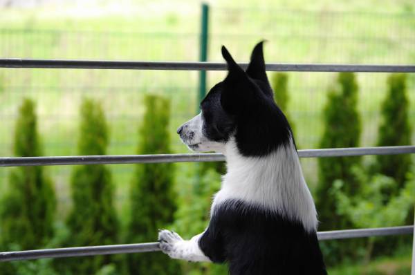 ��� ���� �� 