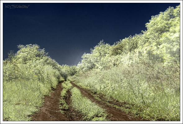 ������ ���