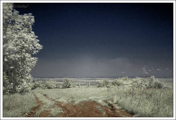 ������ ���-�