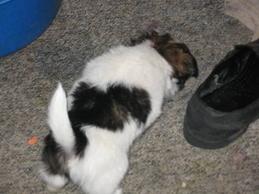 �������