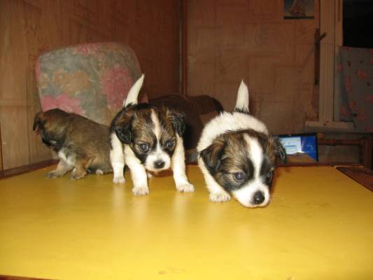 � � ������