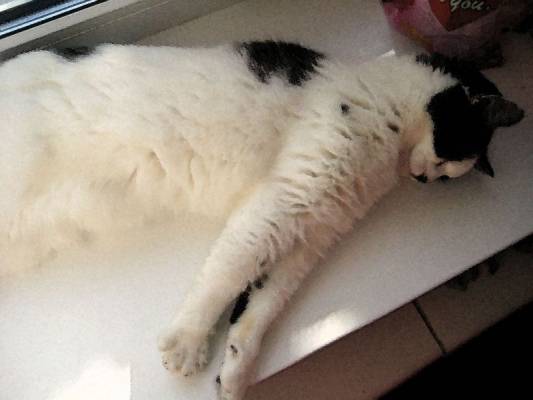 ����������)