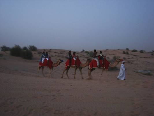 Camel riding:)