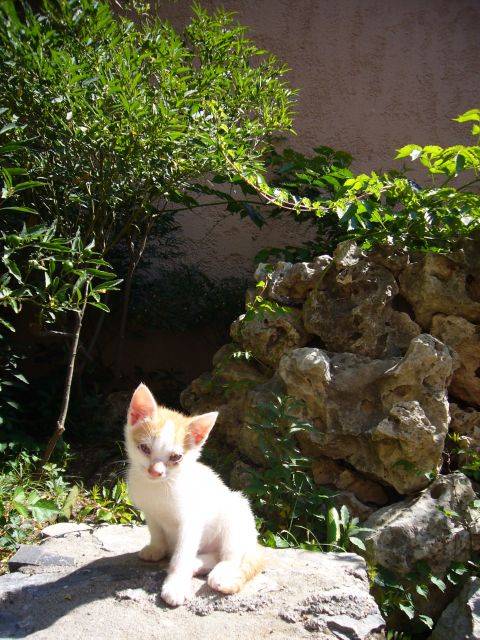 �� ��������