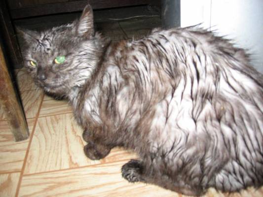 �� ����������� ��������