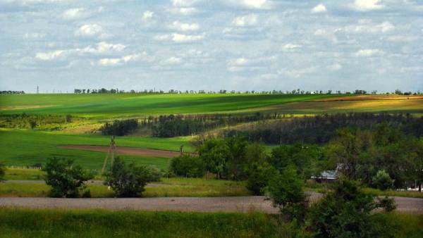 �������������� � docmalk