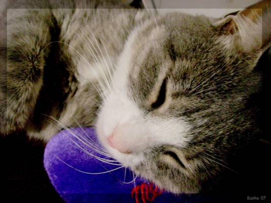 ���� �������...