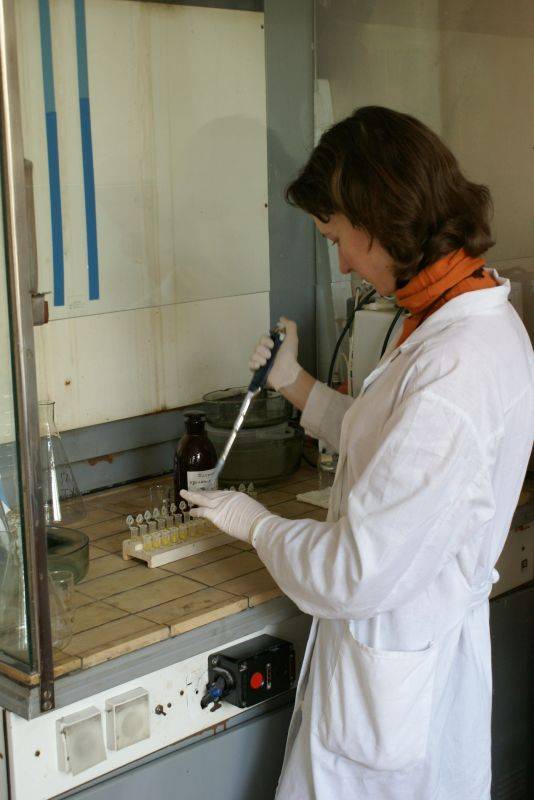 �������