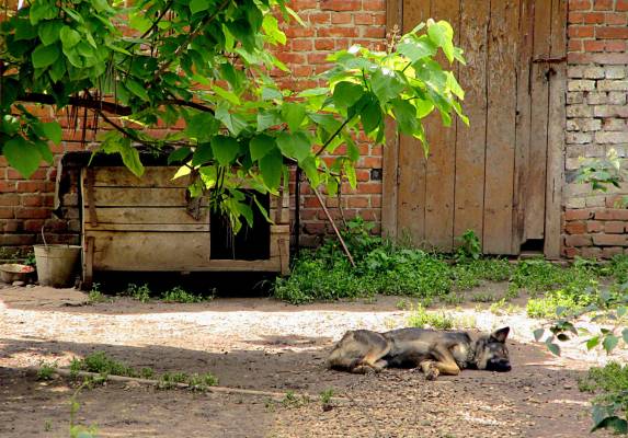 ���� �� ��� ���������...