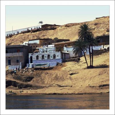 сrocodile house
