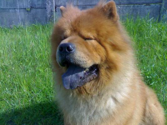 ������ ������� ��� ����)) ������ �������)))