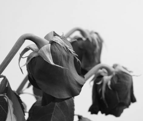 ��������...