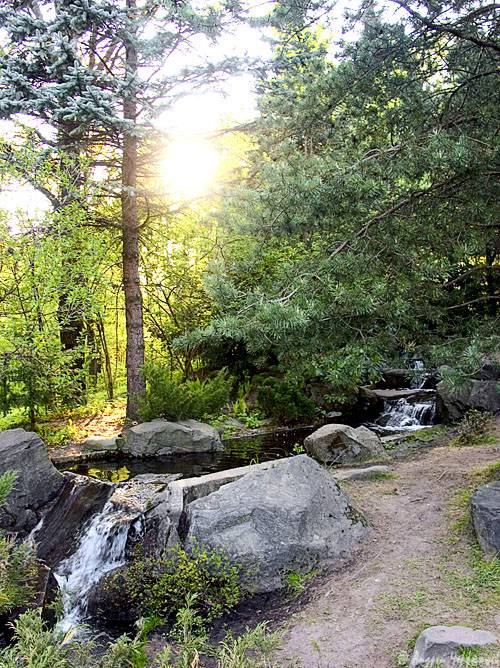 ��� ������