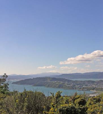 View over the harbour