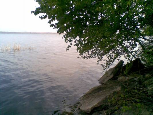 ��.��������