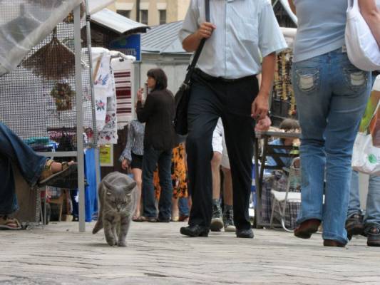 ..� � ��� � ���� �� ��������..