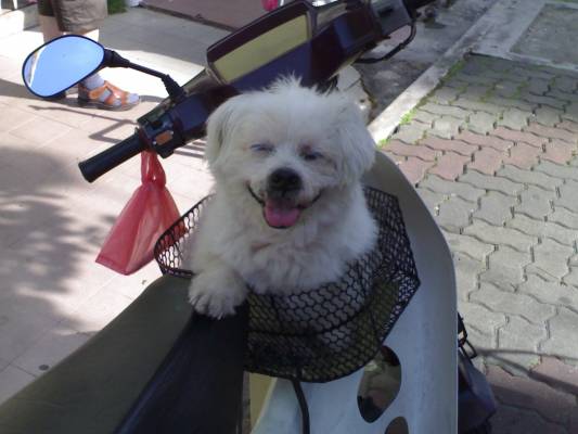 ��������� ��������