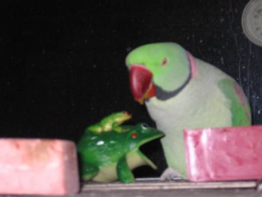 �������