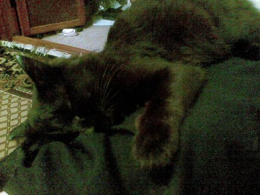 ��������