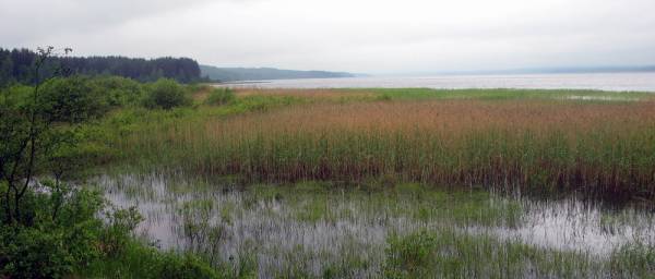 ��.������������