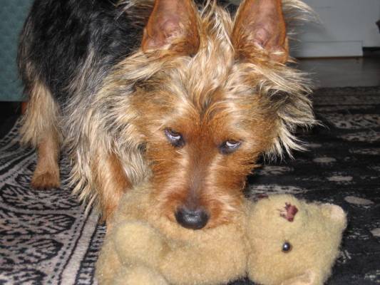 �������