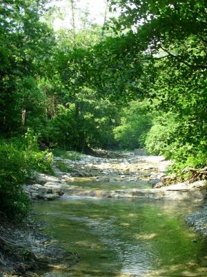 Река Жане