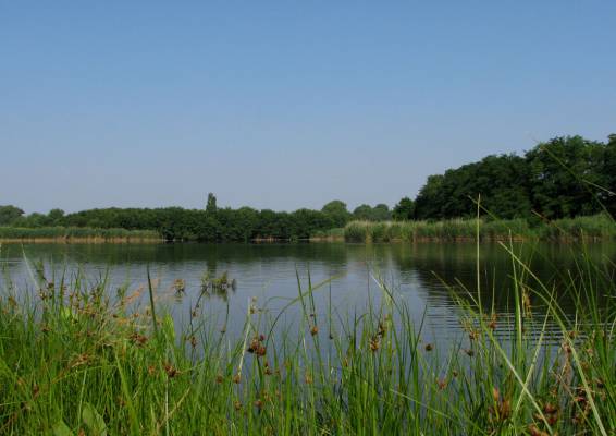 ������ 2