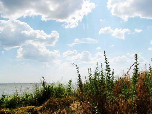 ����� �� ������...