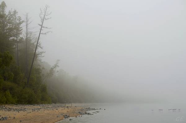 �������� � �������