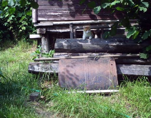 � ���� �� �������� 