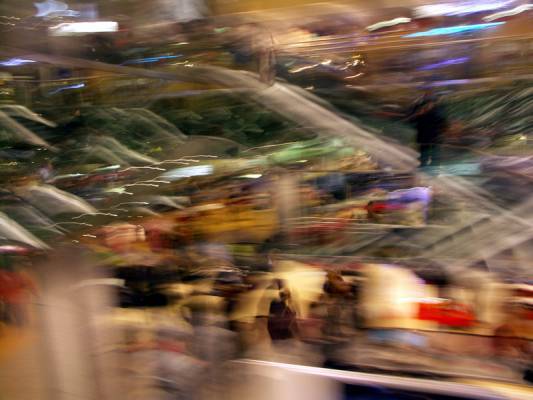 �����������