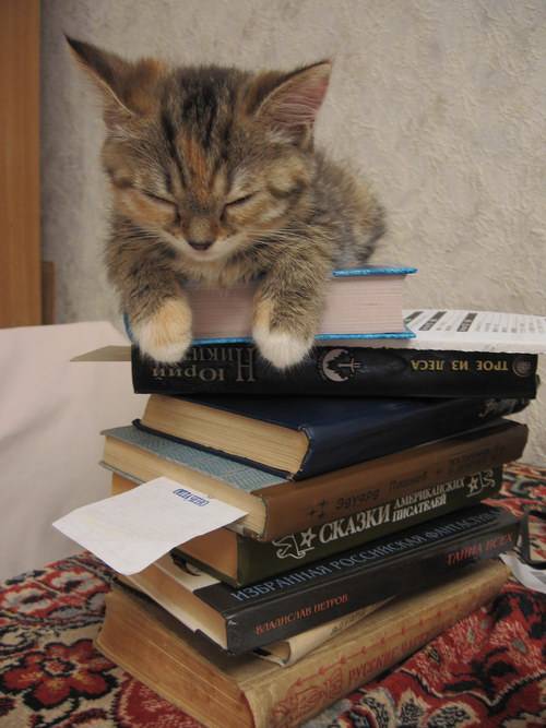 ��. ��������. ������ ����� �������, ������?