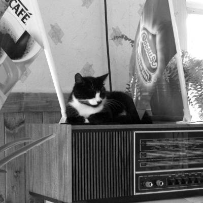 �� ����� ���������� ������������ ��������