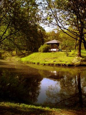 �������� ����� 