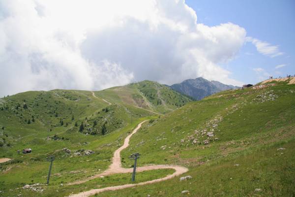 ������ ������