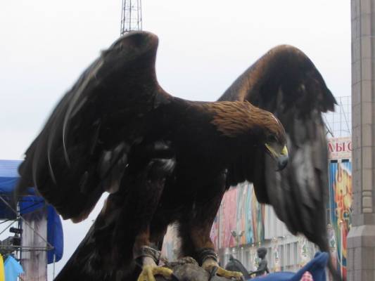  ������� �����