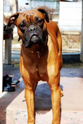 �� ��������