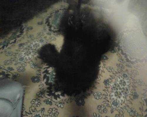 ����� � ������