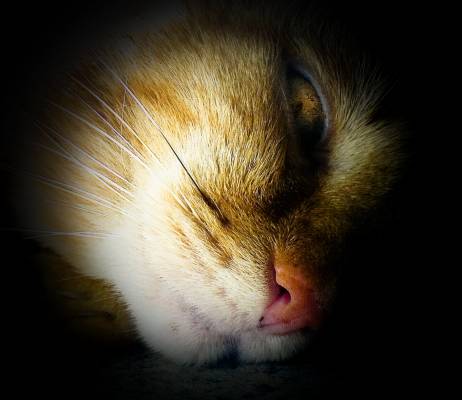 � �� ����� ����� !