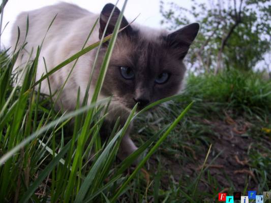 ��������..