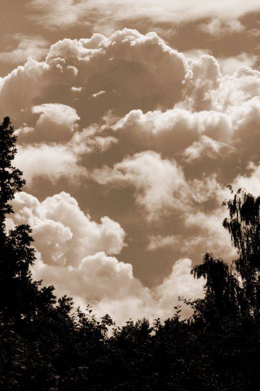 ���� ����� ���� �����....