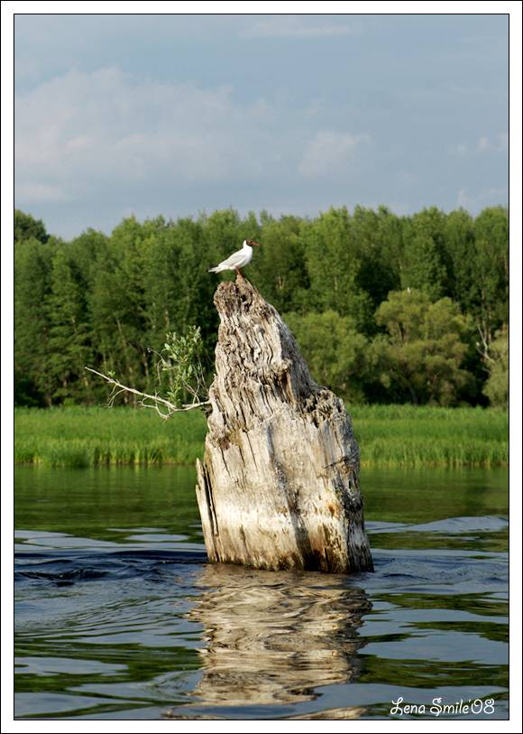 ����� � ����