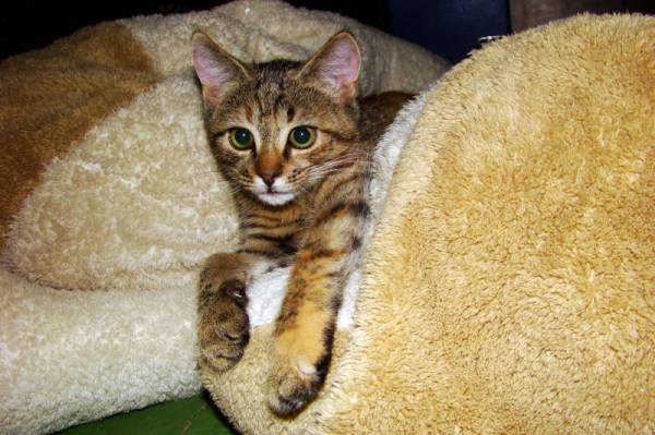 ������ ����������.. :-)